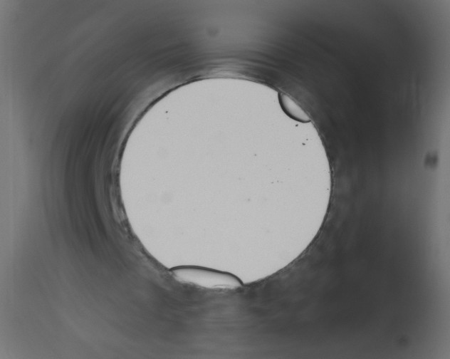 X0000112980289200910081116