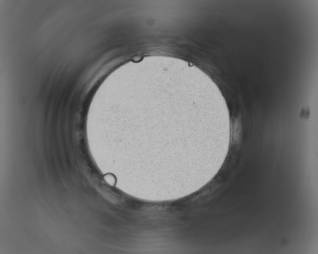 X0000112980291200910081116