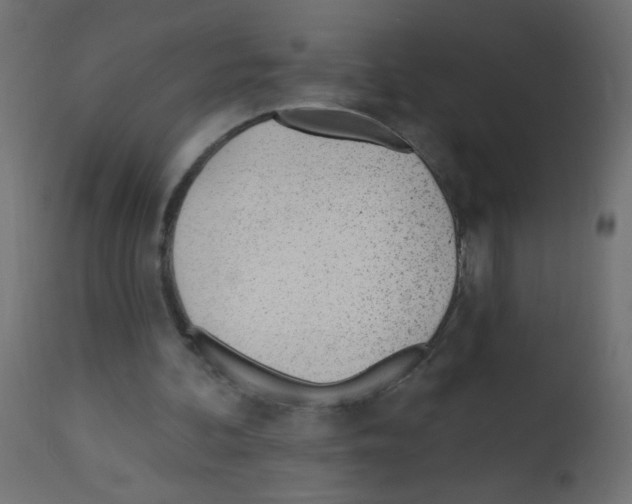 X0000112980292200910081116