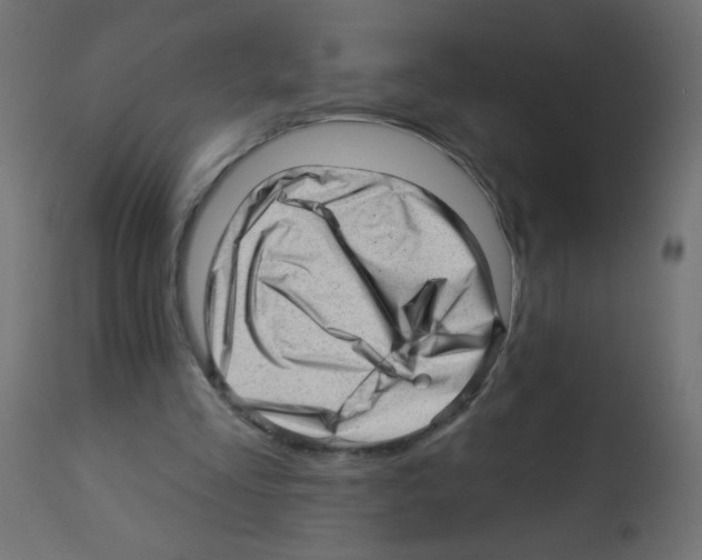 X0000112980293200910081116