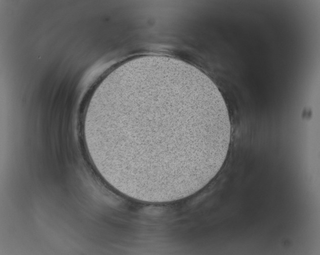 X0000112980294200910081116