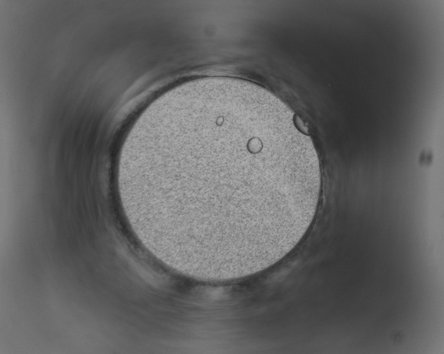 X0000112980295200910081116