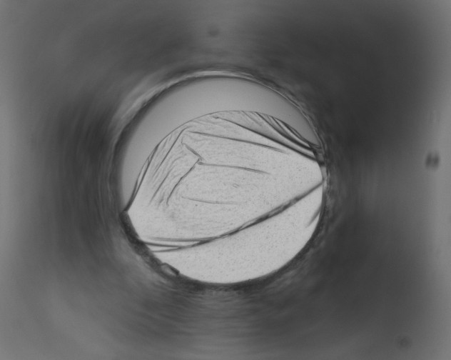 X0000112980296200910081116