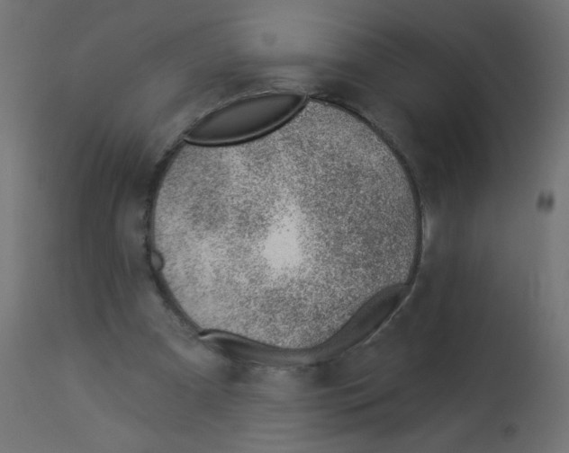 X0000112980297200910081116