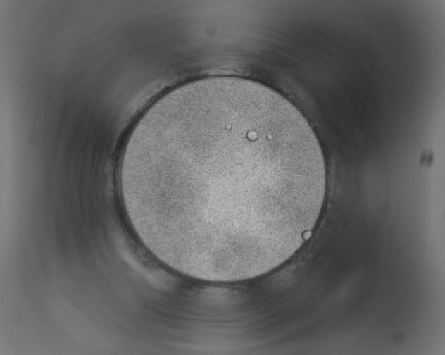 X0000112980298200910081116