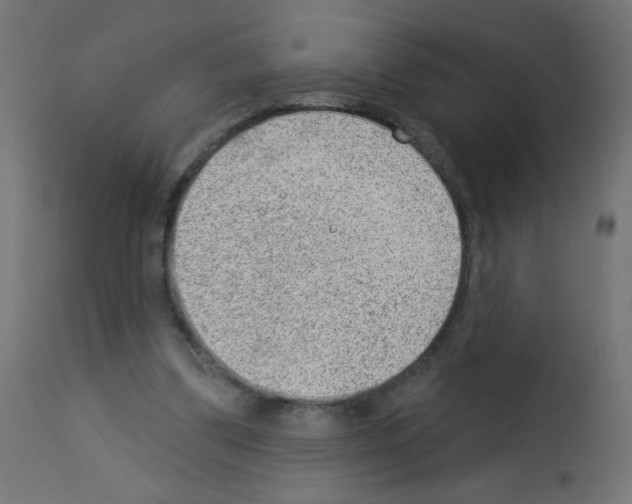 X0000112980299200910081116