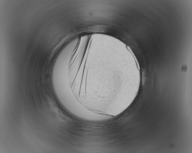 X0000112980300200910081116