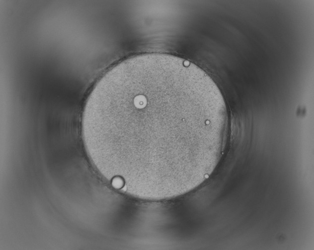 X0000112980301200910081116