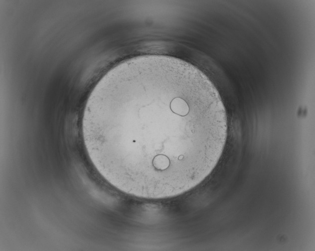 X0000112980302200910081116