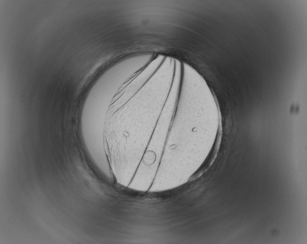 X0000112980304200910081116