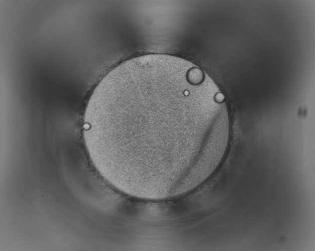 X0000112980305200910081116