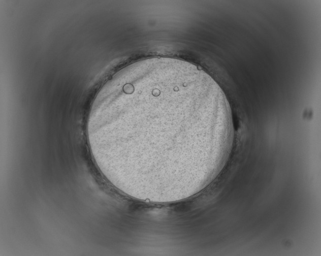 X0000112980306200910081116