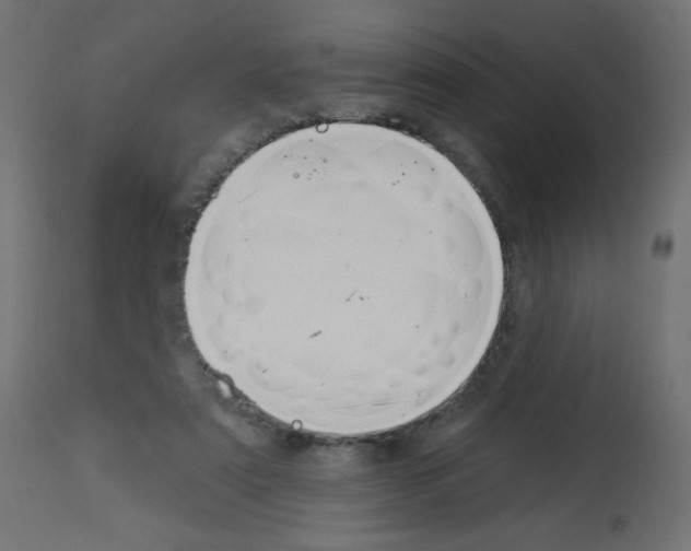 X0000112980307200910081116