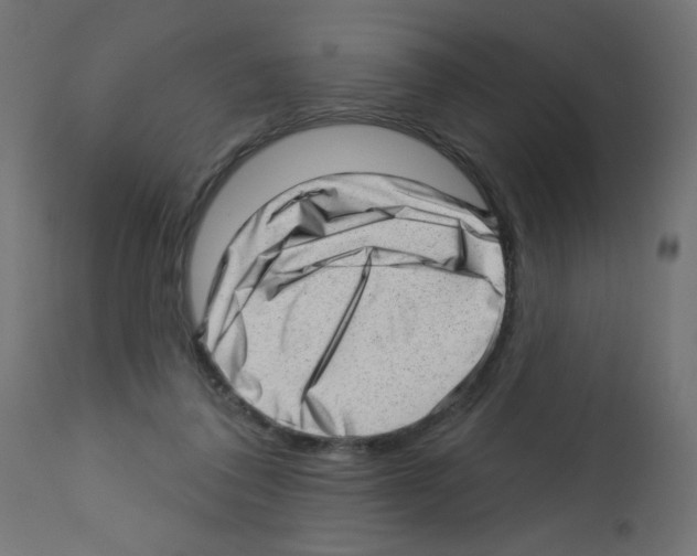 X0000112980308200910081116