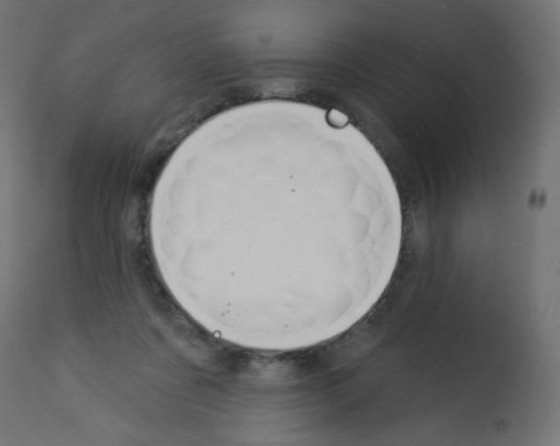 X0000112980311200910081116