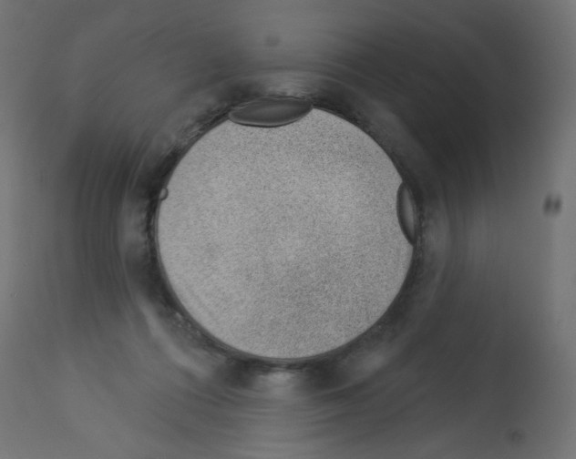 X0000112980312200910081116