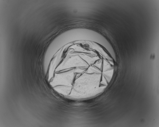X0000112980313200910081116