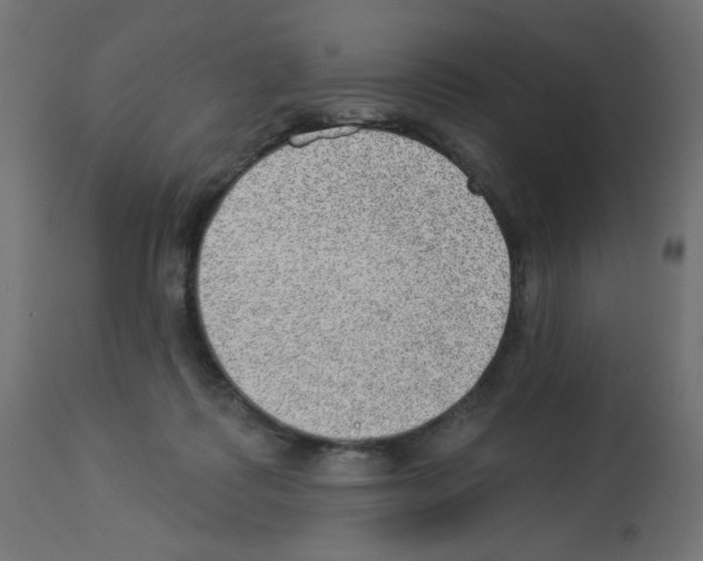 X0000112980315200910081116