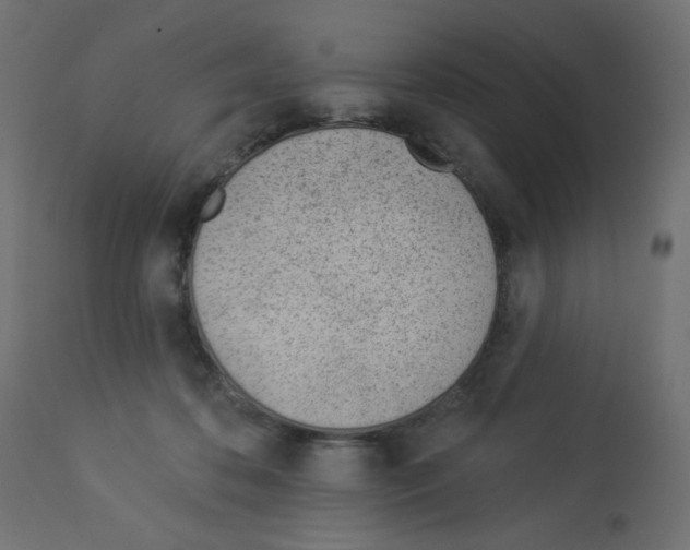 X0000112980316200910081116
