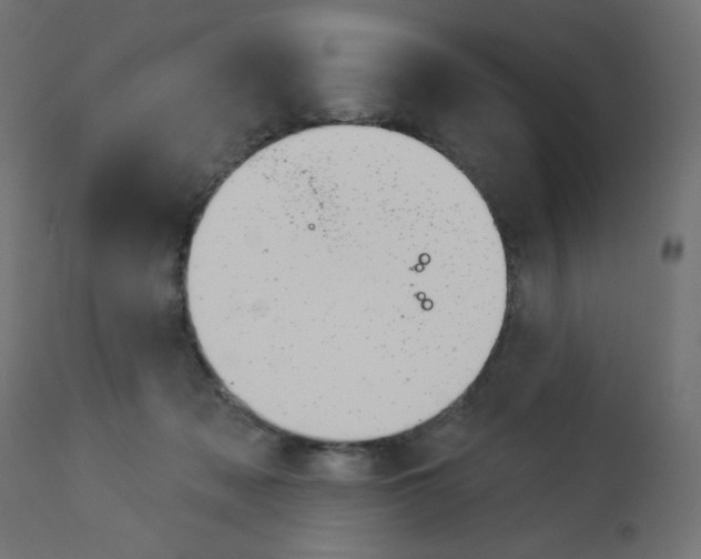 X0000112980317200910081116