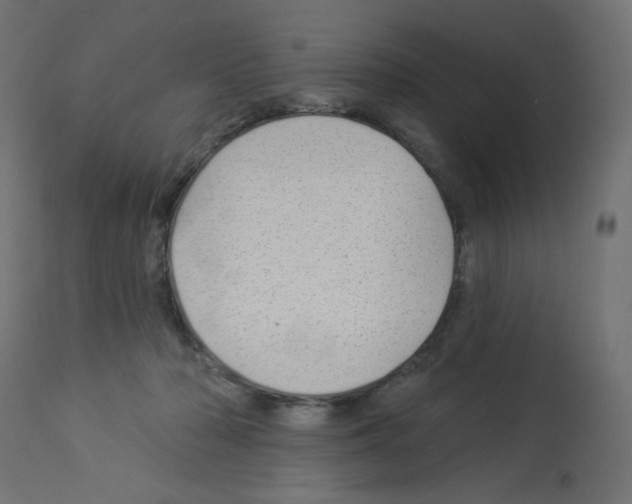 X0000112980318200910081116