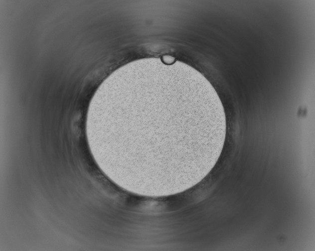 X0000112980319200910081116