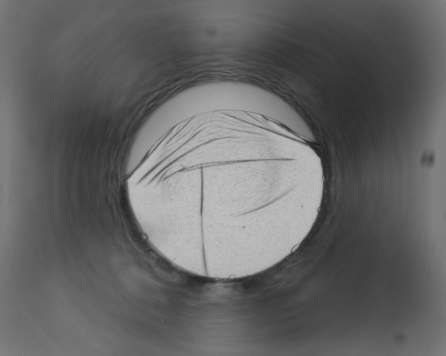 X0000112980320200910081116