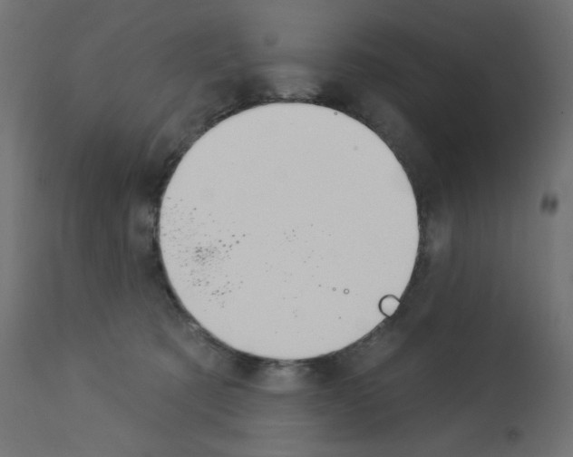 X0000112980321200910081116