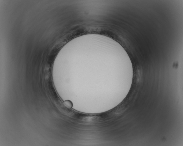 X0000112980323200910081116