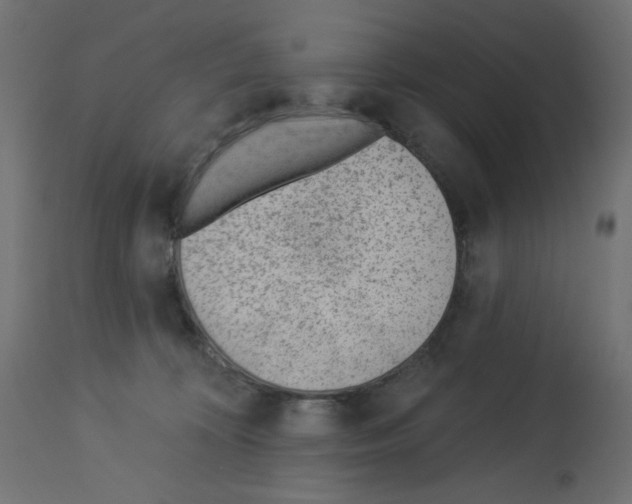 X0000112980324200910081116