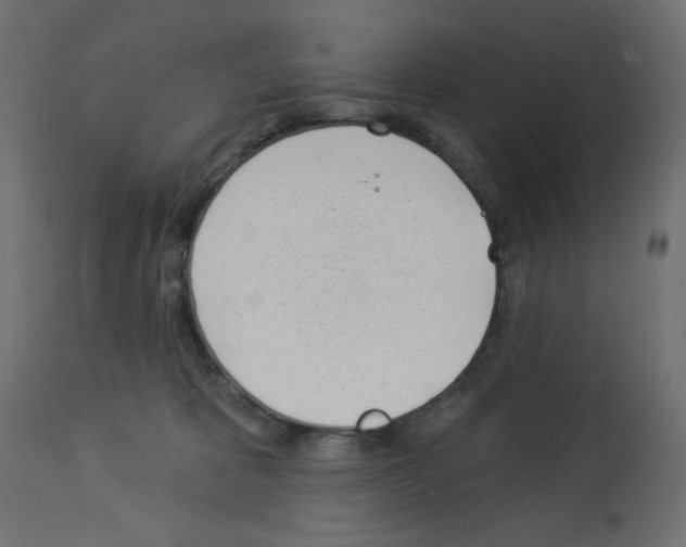 X0000112980325200910081116