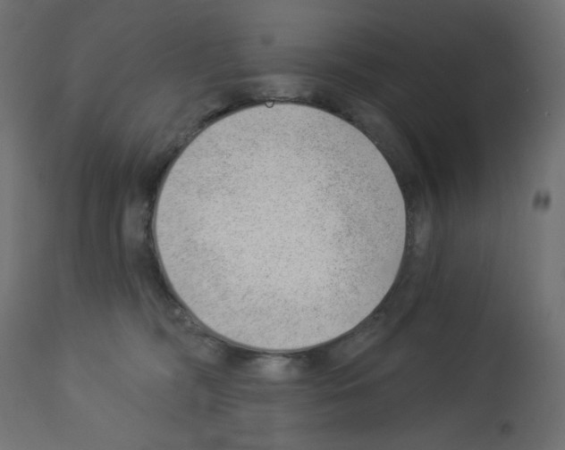 X0000112980326200910081116