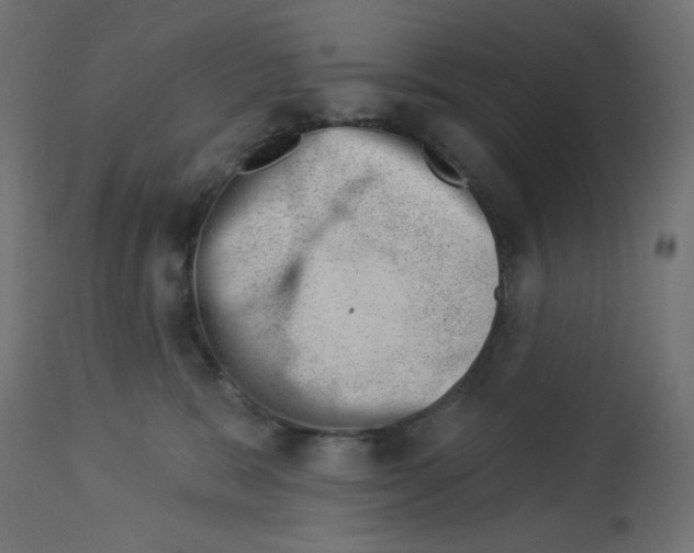 X0000112980327200910081116