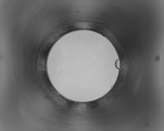 X0000112980330200910081115