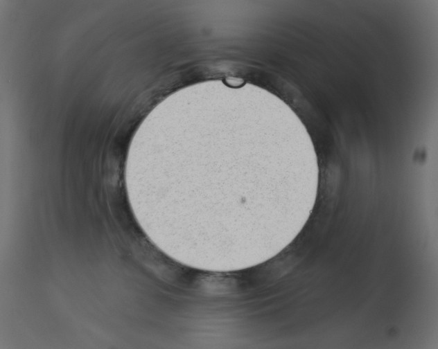 X0000112980331200910081115