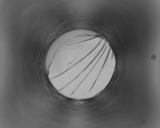X0000112980332200910081115