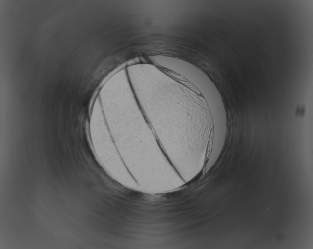 X0000112980333200910081115