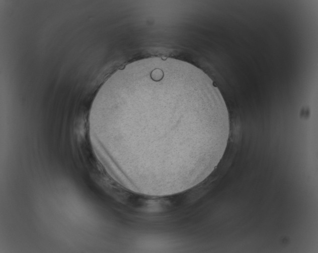 X0000112980334200910081115