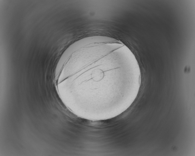 X0000112980336200910081115