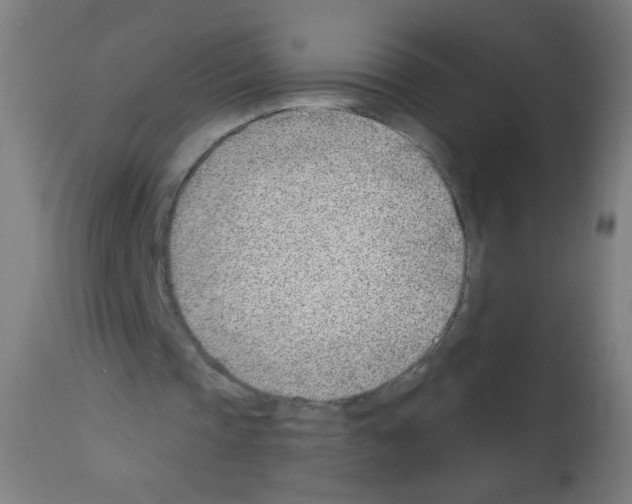 X0000112980337200910081115