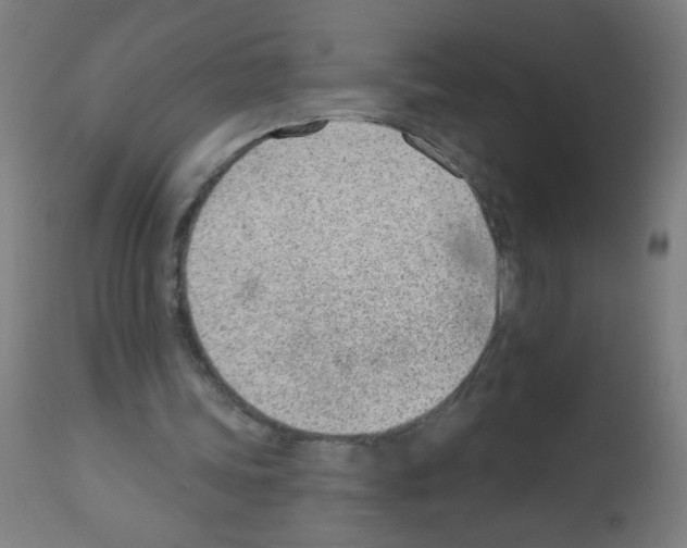 X0000112980339200910081115