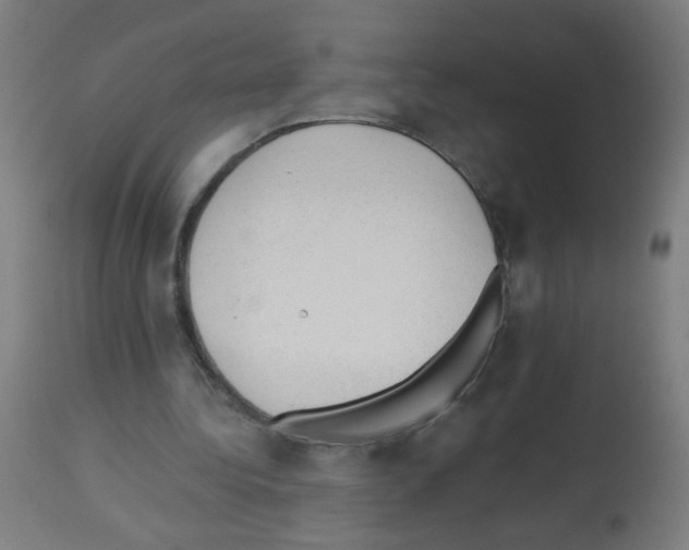 X0000112980340200910081115
