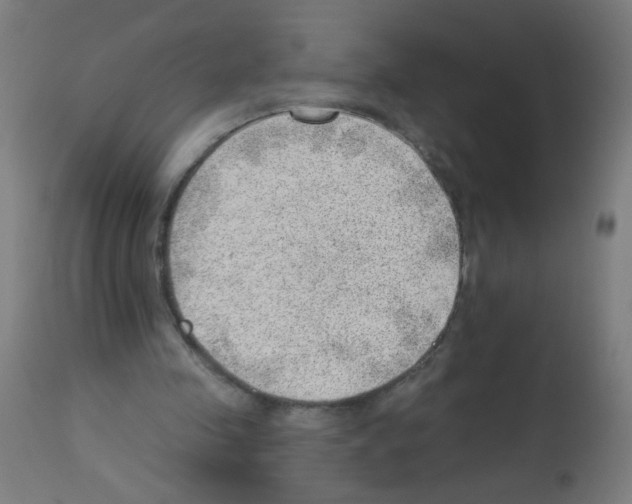 X0000112980341200910081115