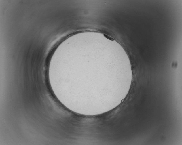 X0000112980342200910081115