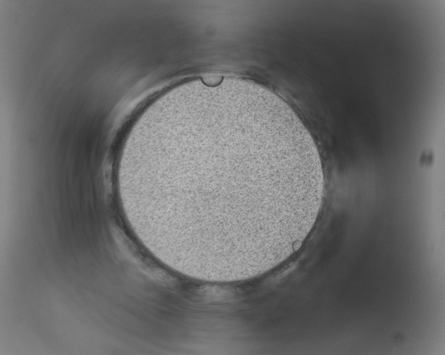 X0000112980343200910081115