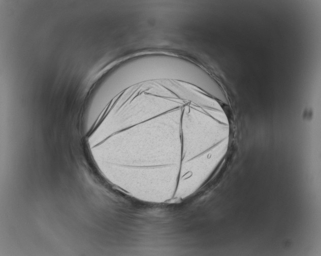 X0000112980344200910081115