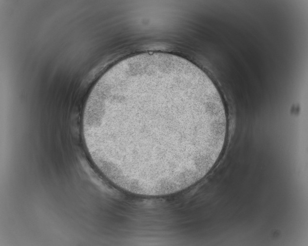X0000112980345200910081115