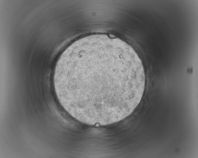 X0000112980346200910081115