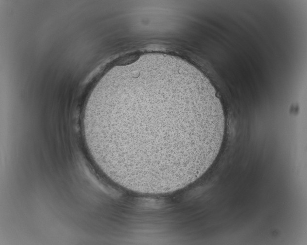 X0000112980347200910081115