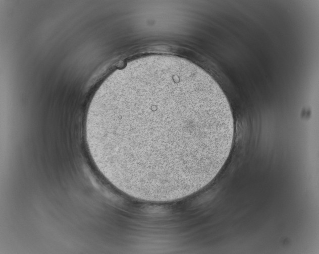 X0000112980349200910081115